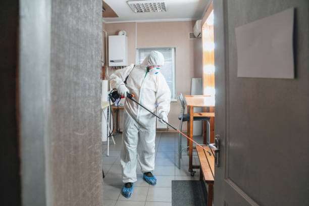 Ozona, TX Mold Removal Company